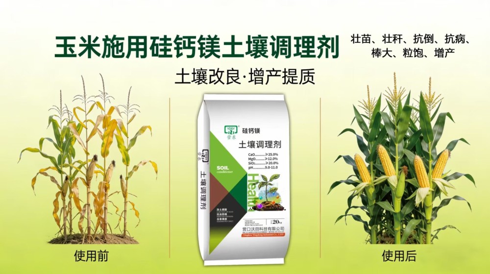 d1964b5cd8750e684e55150bc673bae4.jpg